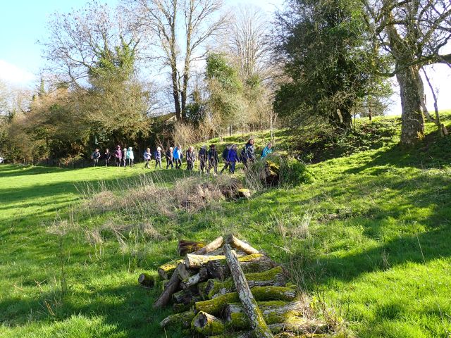 Group walking through lush green field