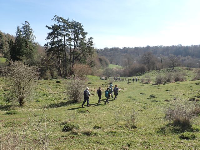 Group of hikers in grassy countryside