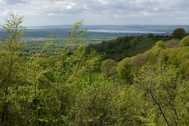 Green hillside overlooking valley and distant water