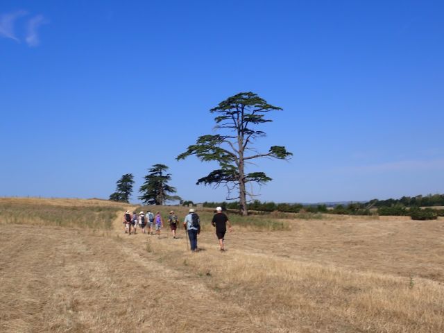 P8120008