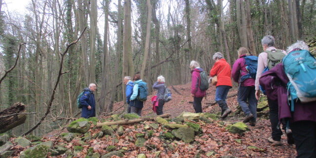 Then back through Manor Woods